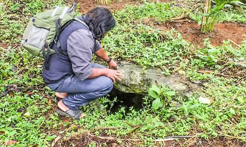underground tomb underground tomb