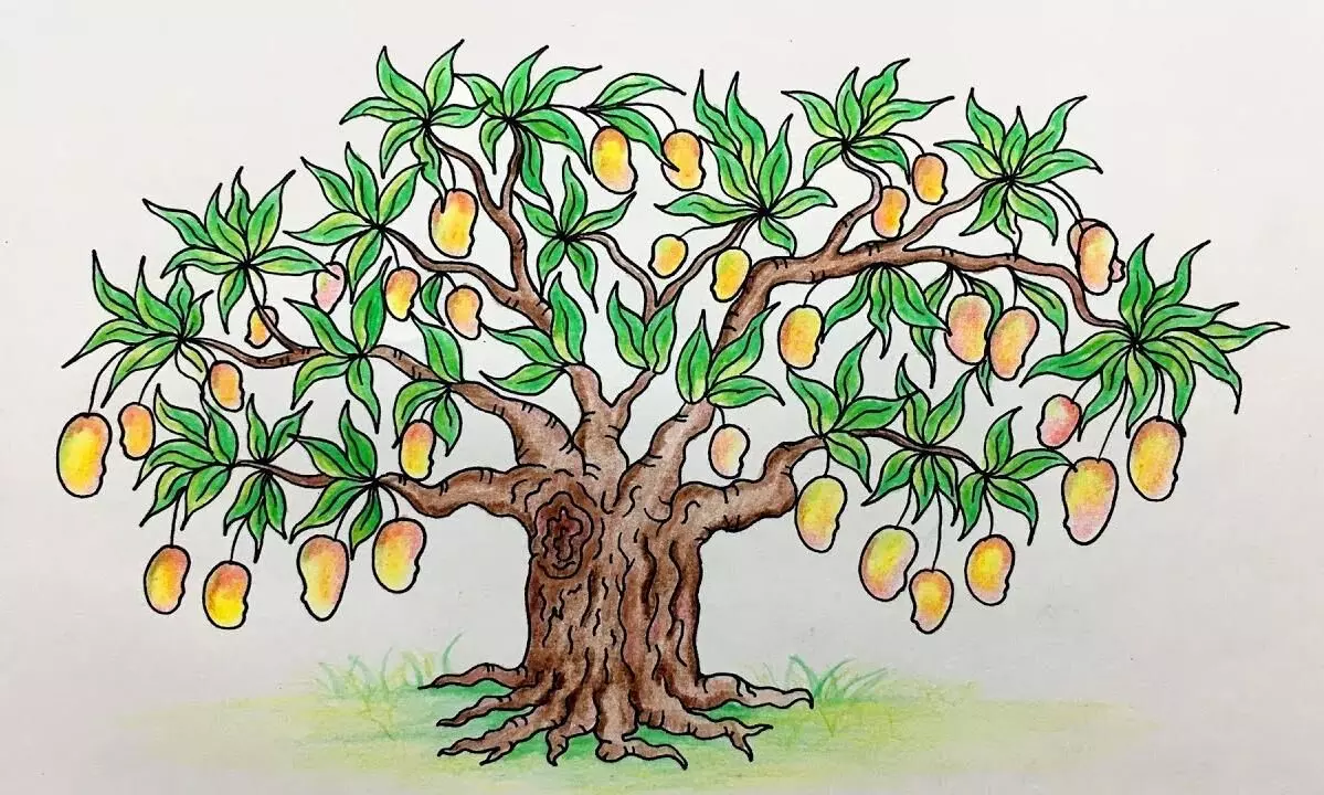 mango tree