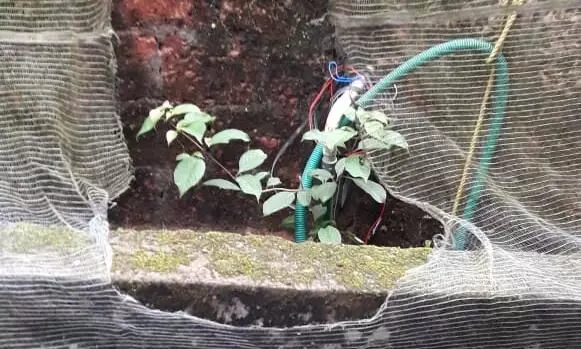 വടകരയില് പൊലീസുകാരന്െറ വീടിനുനേരെ ബോംബേറ് വടകരയില് പൊലീസുകാരന്െറ വീടിനുനേരെ ബോംബേറ്