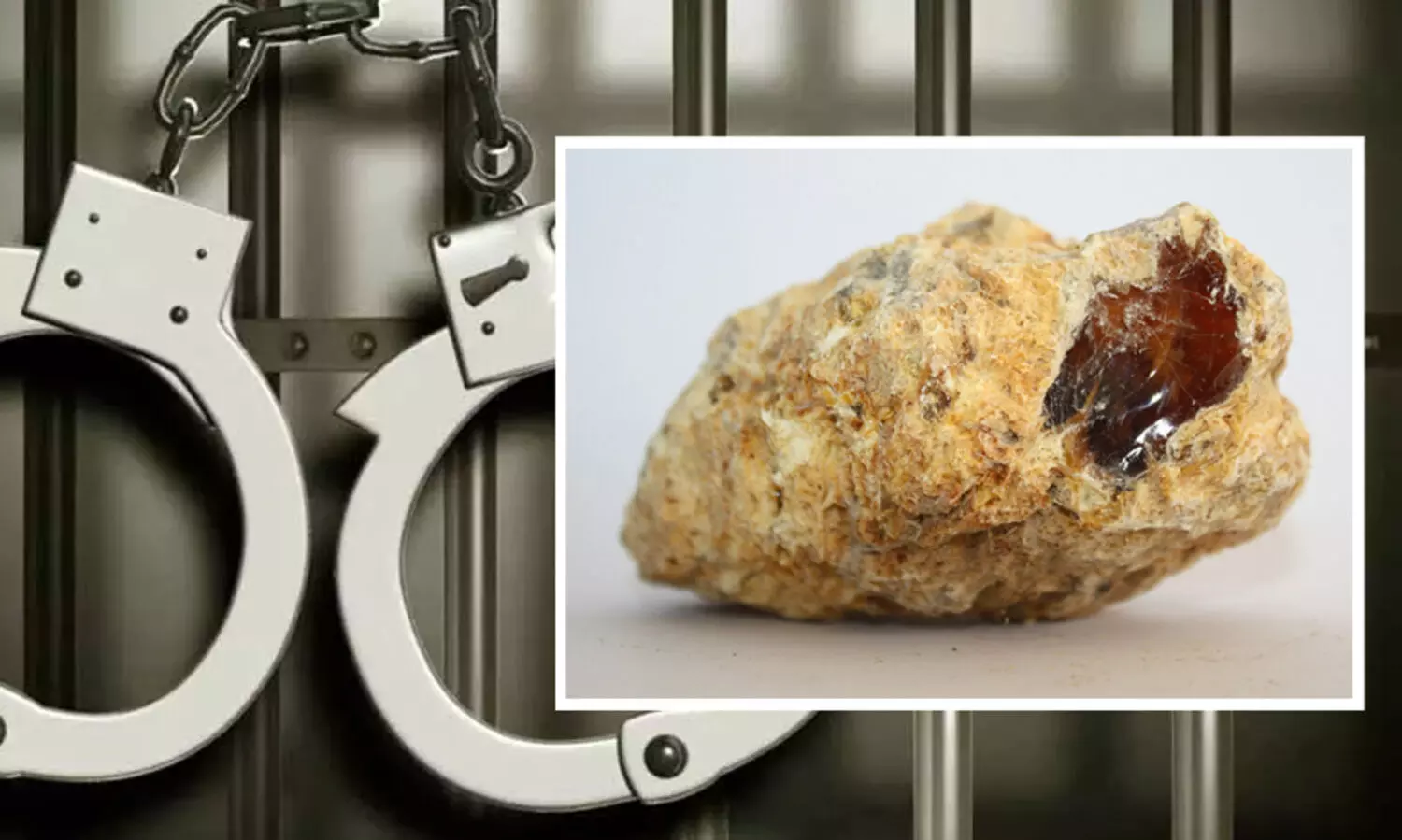 ഏഴ്​ കോടി രൂപ വിലമതിക്കുന്ന തിമിംഗല ഛർദി കള്ളക്കടത്ത്​; ഗുജറാത്തിൽ മൂന്ന്​ പേർ അറസ്റ്റിൽ