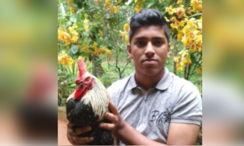 കോഴിലേലത്തിലൂടെ കോവിഡ് പ്രതിരോധത്തിന് തുക കണ്ടെത്തി