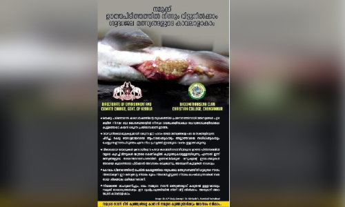 നിരോധനത്തിന് പുല്ലുവില ഊത്തപിടിത്തം വ്യാപകം; പൂ​വാ​ലി​ക​ൾ ഇ​നി​യെ​ത്ര കാ​ലം?