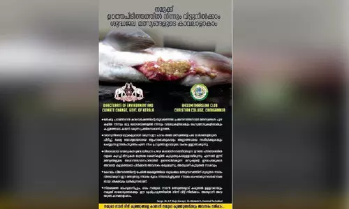 നിരോധനത്തിന് പുല്ലുവില ഊത്തപിടിത്തം വ്യാപകം; പൂ​വാ​ലി​ക​ൾ ഇ​നി​യെ​ത്ര കാ​ലം?