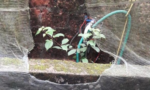 വടകരയില്‍ പൊലീസുകാരന്‍െറ വീടിനുനേരെ ബോംബേറ്