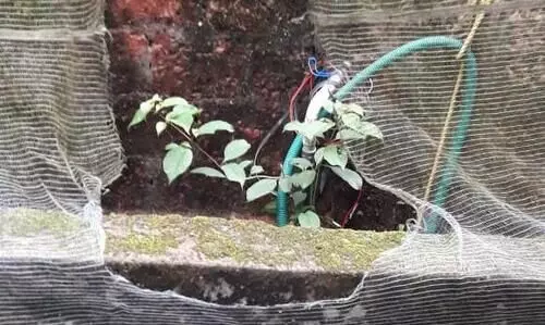 വടകരയില്‍ പൊലീസുകാരന്‍െറ വീടിനുനേരെ ബോംബേറ്