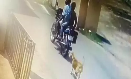 ചെരുപ്പു കടിച്ചുപറിച്ച ദേഷ്യത്തിൽ നായെ ബൈക്കിൽ കെട്ടിവലിച്ചു; പ്രായപൂർത്തിയാകാത്ത ആൺകുട്ടി ഉൾപ്പെടെ രണ്ടു പേർ പിടിയിൽ