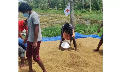 കര്‍ഷകര്‍ ക്വാറൻറീനില്‍: വിളവെടുത്ത് ഡി.വൈ.എഫ്.ഐ. പ്രവര്‍ത്തകര്‍