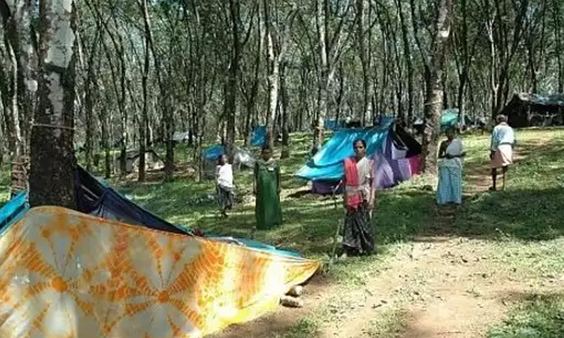 കാസർകോട്ടെ ചെങ്ങറ പുനരധിവാസ പാക്കേജ് പാളി; ഭൂമി തിരിച്ചെടുക്കുന്നു കാസർകോട്ടെ ചെങ്ങറ പുനരധിവാസ പാക്കേജ് പാളി; ഭൂമി തിരിച്ചെടുക്കുന്നു