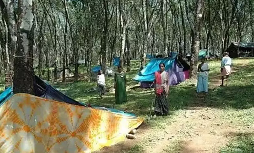 കാ​സ​ർ​കോ​​ട്ടെ ചെങ്ങറ പുനരധിവാസ പാക്കേജ് പാളി; ഭൂമി തിരിച്ചെടുക്കുന്നു