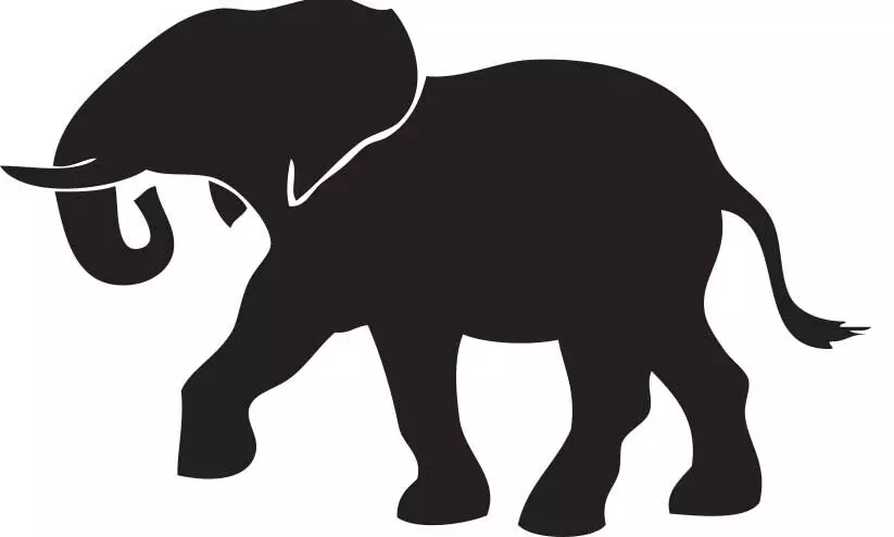 ഈ ടീച്ചർക്ക്​ അംഗൻവാടിയിലെത്താൻ ആനക്കൂട്ടത്തെ ഭയക്കണം