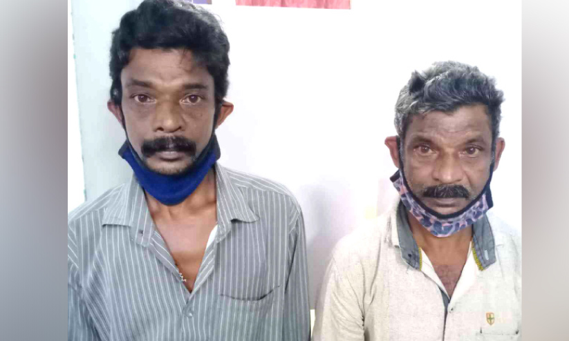 പെരുമ്പാമ്പിെൻറ ഇറച്ചിയും 30 ലിറ്റർ കോടയുമായി സഹോദരങ്ങൾ പിടിയിൽ പെരുമ്പാമ്പിെൻറ ഇറച്ചിയും 30 ലിറ്റർ കോടയുമായി സഹോദരങ്ങൾ പിടിയിൽ