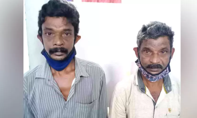 പെരുമ്പാമ്പിെൻറ ഇറച്ചിയും 30 ലിറ്റർ കോടയുമായി സഹോദരങ്ങൾ പിടിയിൽ പെരുമ്പാമ്പിെൻറ ഇറച്ചിയും 30 ലിറ്റർ കോടയുമായി സഹോദരങ്ങൾ പിടിയിൽ