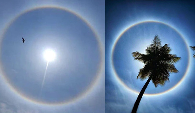 ബംഗളൂരുവിെൻറ ആകാശത്ത് സൂര്യന് ചുറ്റും മഴവിൽ വലയം ബംഗളൂരുവിെൻറ ആകാശത്ത് സൂര്യന് ചുറ്റും മഴവിൽ വലയം