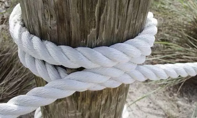 Representative image Representative image