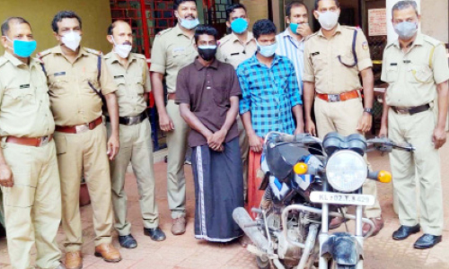 vehicle theft accused caught