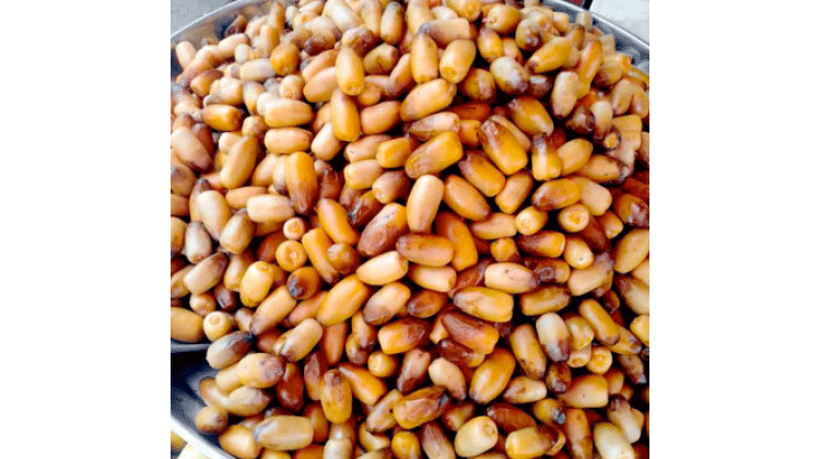 റത്തബ് എത്തി; വിപണി സജീവം റത്തബ് എത്തി; വിപണി സജീവം