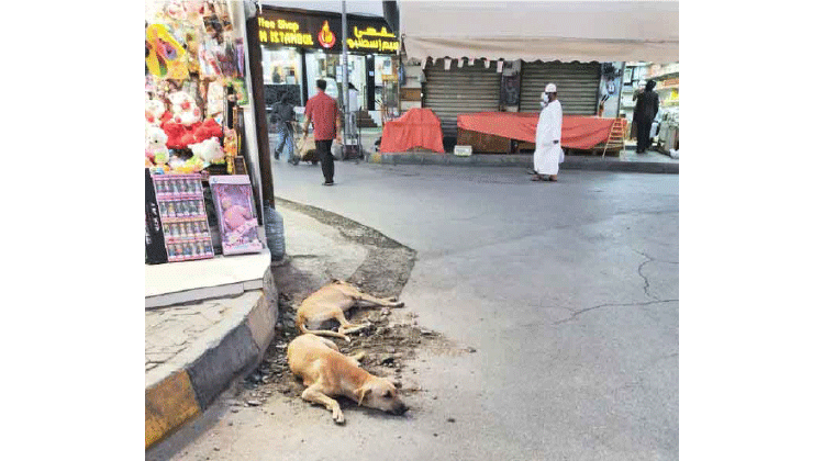 ചൂട് തിരിച്ചടി; കച്ചവടക്കാരും തൊഴിലാളികളും പ്രയാസത്തിൽ