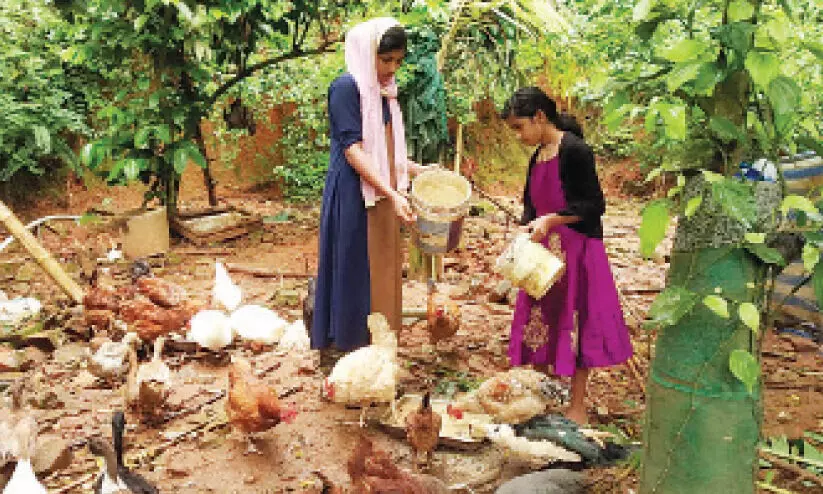 sisters in duck and fish farming
