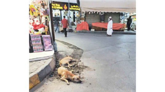 ചൂട് തിരിച്ചടി; കച്ചവടക്കാരും തൊഴിലാളികളും പ്രയാസത്തിൽ
