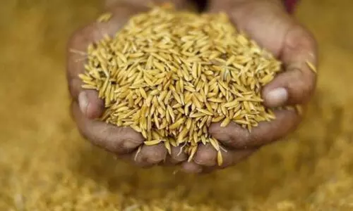 പാ​ല​ക്കാ​ട് ജി​ല്ല​യി​ല്‍ ഇ​തു​വ​രെ സം​ഭ​രി​ച്ച​ത് 1.27 ട​ൺ നെ​ല്ല്