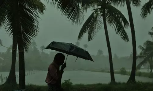 കാറ്റിലും മഴയിലും 19 കോടിയുടെ കൃഷിനാശം