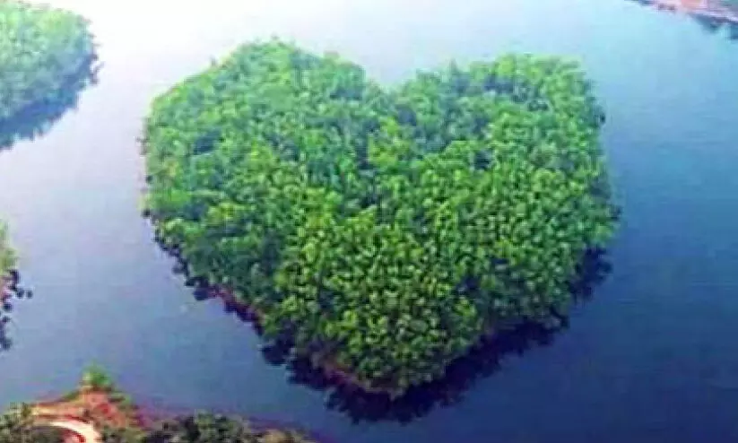 heart shaped Island in thonikkadavu reservoir