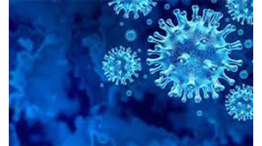 കോവിഡ്​: ഒമ്പതു​ മരണം, 866 പുതിയ രോഗികൾ