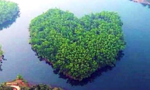 heart shaped Island in thonikkadavu reservoir