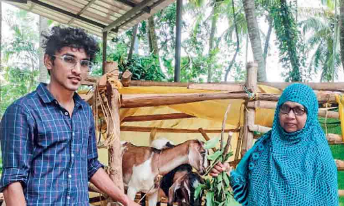 ബിരുദം എൻജിനീയറിങ്ങിൽ; റംഷാദിന് താൽപര്യം  കൃഷി പരീക്ഷണങ്ങളോട്