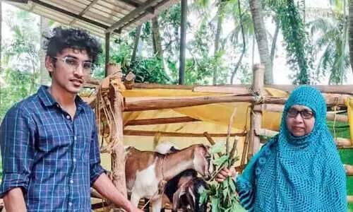 ബിരുദം എൻജിനീയറിങ്ങിൽ; റംഷാദിന് താൽപര്യം കൃഷി പരീക്ഷണങ്ങളോട് ബിരുദം എൻജിനീയറിങ്ങിൽ; റംഷാദിന് താൽപര്യം കൃഷി പരീക്ഷണങ്ങളോട്