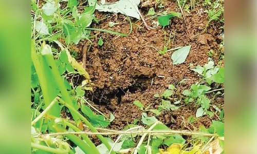 noise and smoke from underground