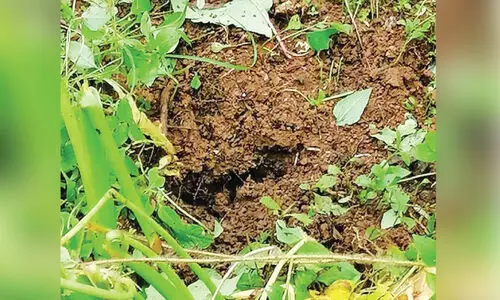 noise and smoke from underground