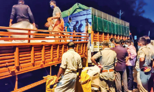 tobacco product seized