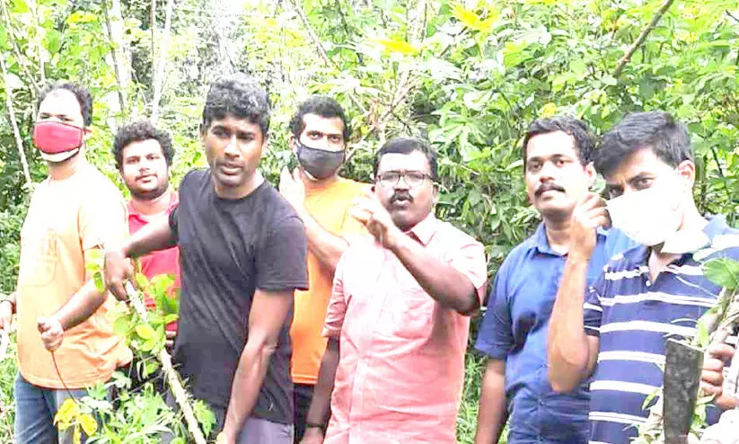 കൃഷിയിടത്തിലെ കപ്പ സൗജന്യമായി നൽകി കൃഷിയിടത്തിലെ കപ്പ സൗജന്യമായി നൽകി