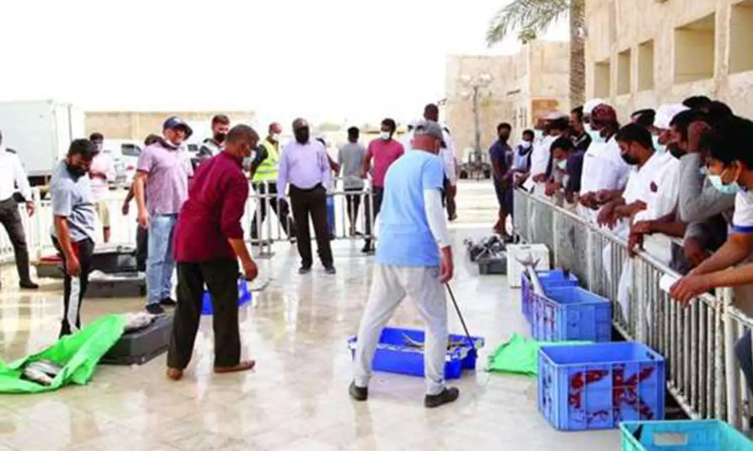 ലേലത്തിൽ പങ്കെടുപ്പിക്കുന്നില്ല: മത്സ്യത്തൊഴിലാളികളും ബോട്ടുടമകളും ​പ്രതിസന്ധിയിൽ