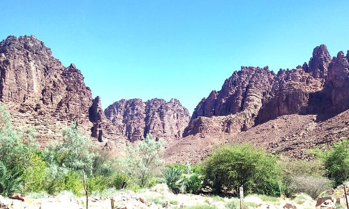 ദൃശ്യവിരുന്നൊരുക്കി തബൂക്കിലെ വാദി അൽ ദീസ