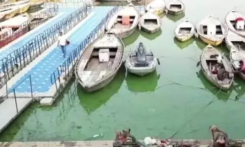 Ganga turns green
