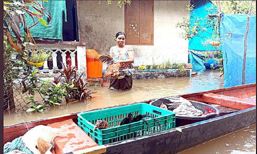 കുട്ടനാട്ടിൽ വീണ്ടും ജലനിരപ്പ്​ ഉയർന്നു