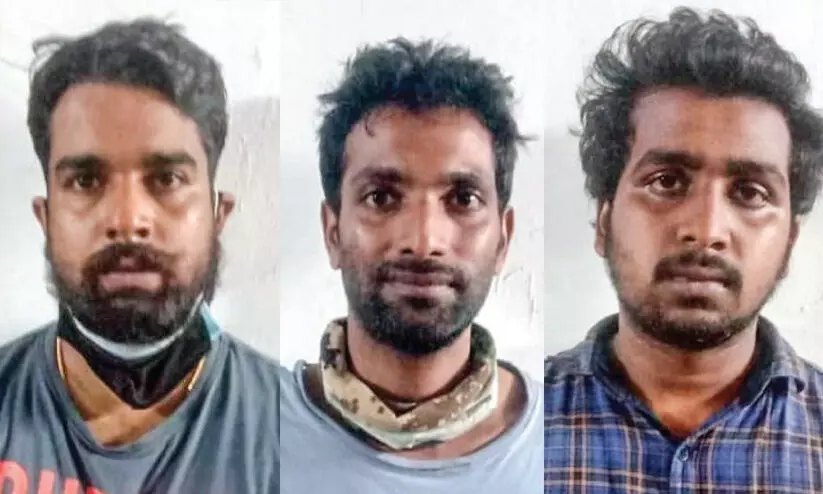 cannabis case accused cannabis case accused