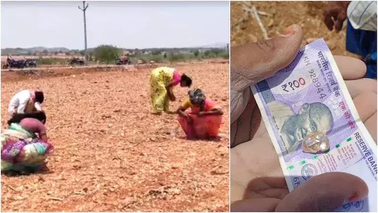 ഒറ്റ രാത്രികൊണ്ട് കോടീശ്വരനായി ആന്ധ്രയിലെ കർഷകൻ ഒറ്റ രാത്രികൊണ്ട് കോടീശ്വരനായി ആന്ധ്രയിലെ കർഷകൻ