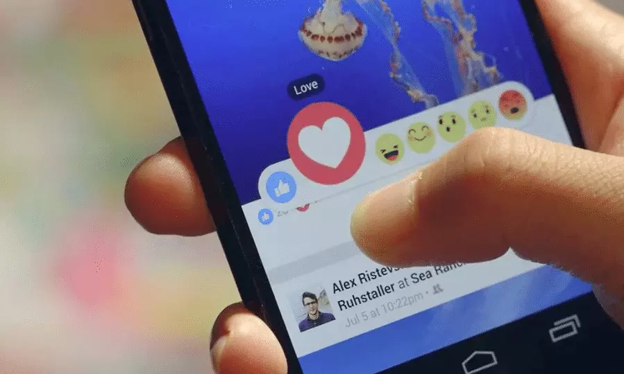 twitter 29521 twitter 29521