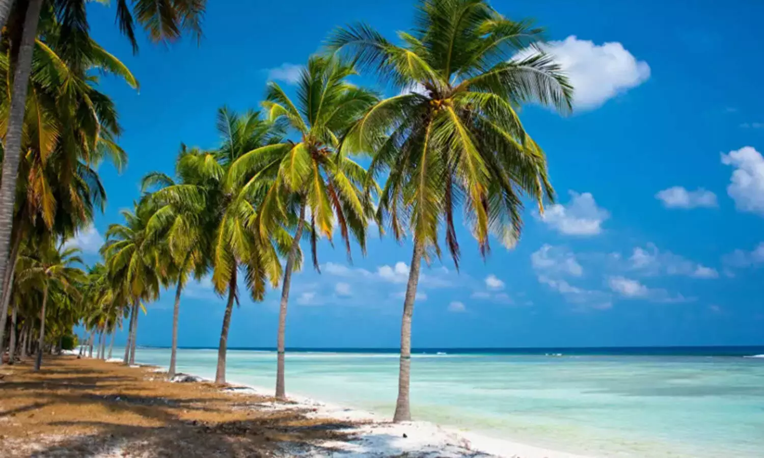 പ്രതിഷേധിച്ച 11 പേർകൂടി അറസ്​റ്റിൽ; പിടിമുറുക്കി ല‍ക്ഷദ്വീപ് ഭരണകൂടം