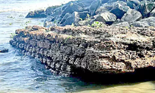 Fort Kochi Fort Kochi