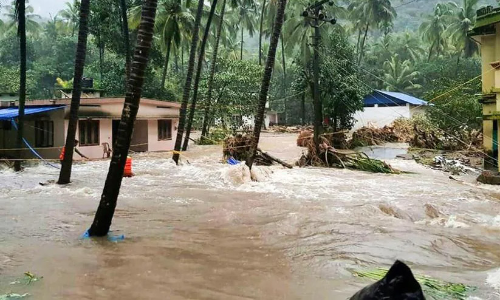 പാടശേഖരത്തിൽ വെള്ളം നിറഞ്ഞു; 20 കുടുംബങ്ങൾ ദുരിതത്തിൽ