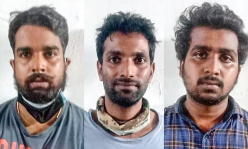 cannabis case accused