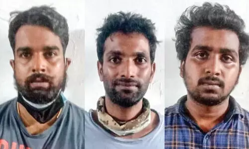 cannabis case accused