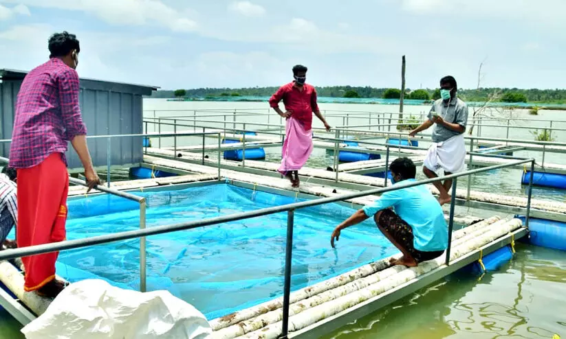 സർക്കാരി​െൻറ നയപ്രഖ്യാപനത്തിൽ മൺറോതുരുത്തിന് പരിഗണന