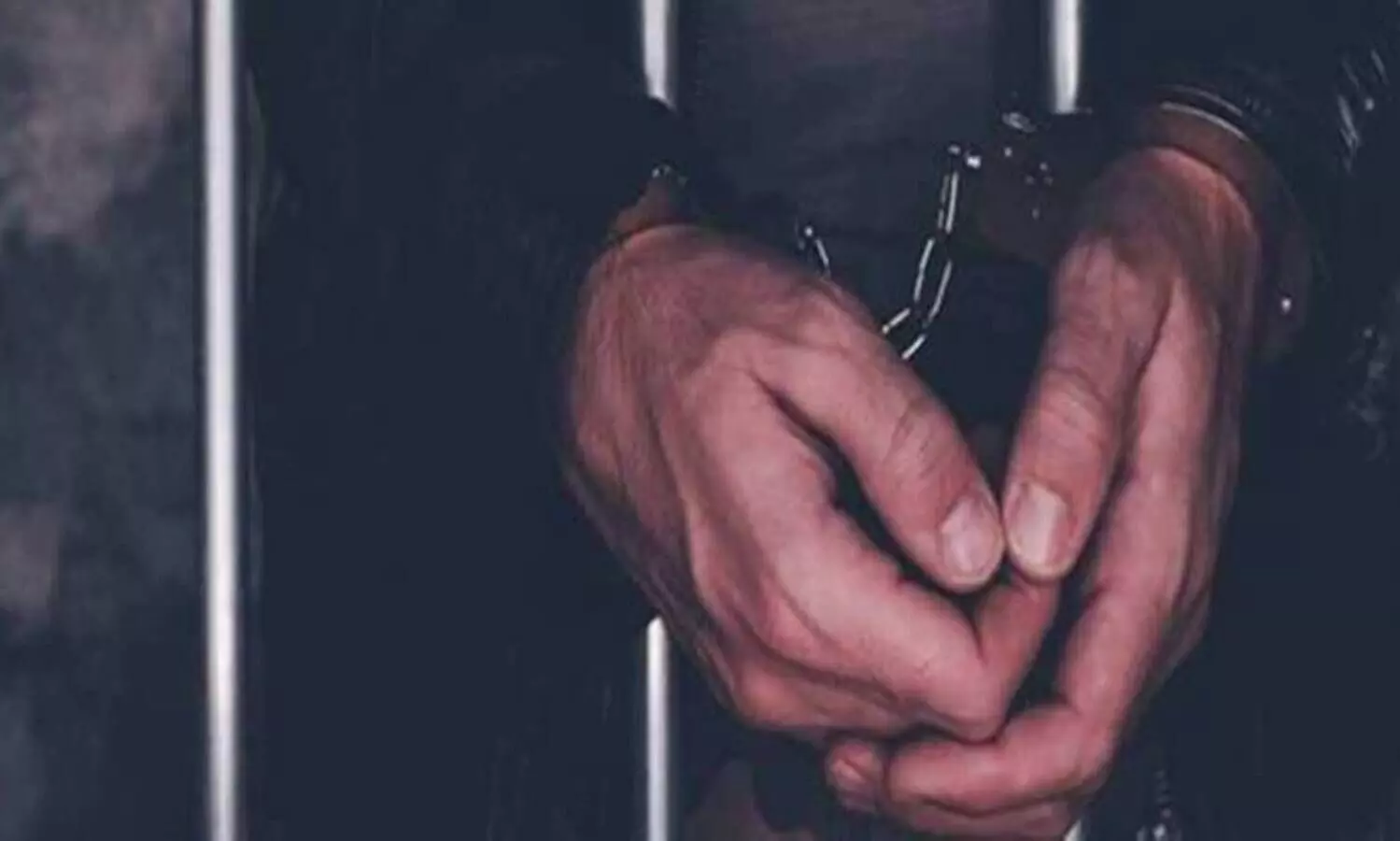 തിഹാർ ജയിലിൽ നിന്നും പുറത്തിറങ്ങിയ പ്രതി അയൽക്കാരനെ കൊന്ന കേസിൽ വീണ്ടും അറസ്റ്റിൽ