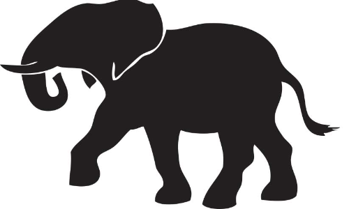 കാട്ടാനയുടെ ജഡം കണ്ടെത്തി