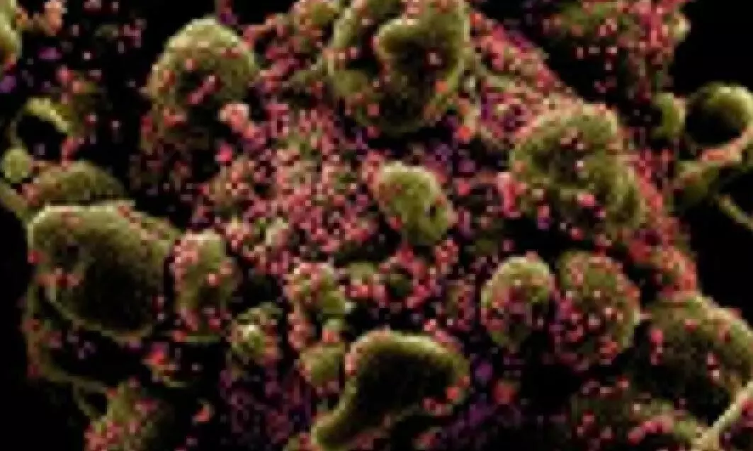 കോവിഡ് വൈറസിന്‍െറ ഉല്‍ഭവം: വുഹാന്‍ ലാബിനെ കേന്ദ്രീകരിച്ച് വീണ്ടും പഠനം